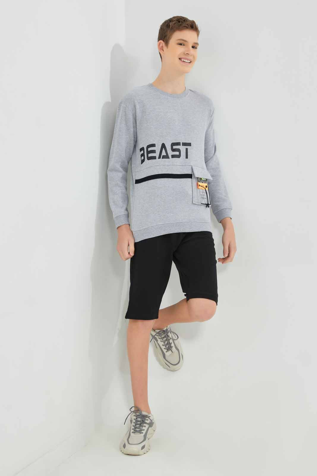Redtag-Grey-Beast-Sweatshirt-BSR-Sweatshirts,-Category:Sweatshirts,-Colour:Grey,-Deals:New-In,-Filter:Senior-Boys-(8-to-14-Yrs),-New-In-BSR-APL,-Non-Sale,-Section:Boys-(0-to-14Yrs),-W22B-Senior-Boys-9 to 14 Years