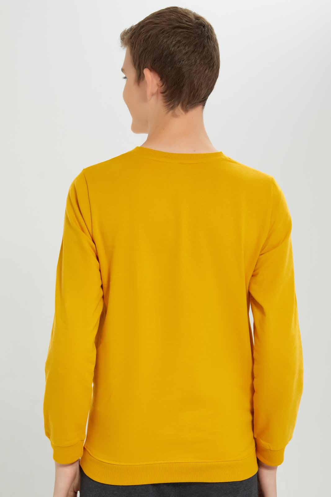 Redtag-Mustard-Chinise-Food-Sweat-Tee-BSR-Sweatshirts,-Category:Sweatshirts,-Colour:Mustard,-Deals:New-In,-Filter:Senior-Boys-(8-to-14-Yrs),-New-In-BSR-APL,-Non-Sale,-Section:Boys-(0-to-14Yrs),-TBL,-W22B-Senior-Boys-9 to 14 Years