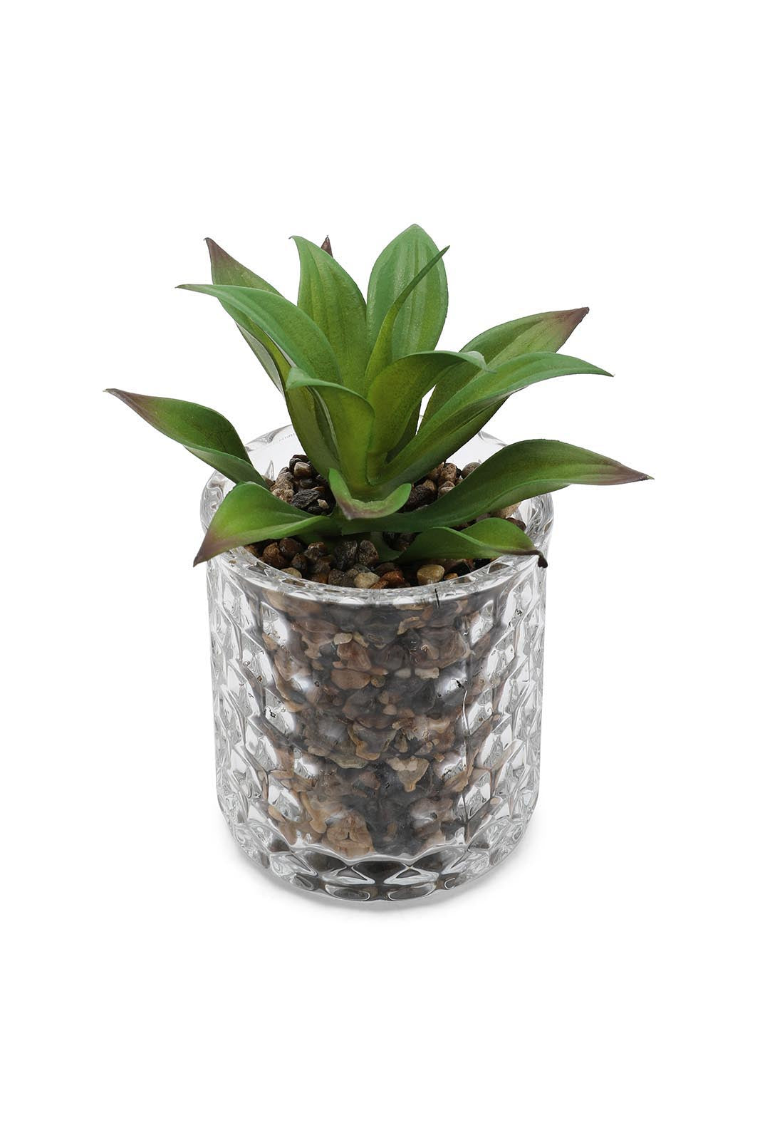 Redtag-Green-Artificial-Succulent-Cactus-Leaf-In-Ceramic-Pot-Category:Plants-&-Flowers,-Colour:Green,-Deals:New-In,-Dept:Home,-Filter:Home-Decor,-HMW-HOM-Decorative-Accessories,-New-In-HMW-HOM,-Non-Sale,-Section:Homewares,-W22B-Home-Decor-