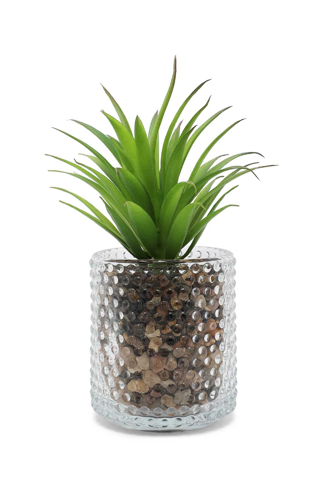 Redtag-Green-Artificial-Succulent-Cactus-Leaf-In-Ceramic-Pot-Category:Plants-&-Flowers,-Colour:Green,-Deals:New-In,-Dept:Home,-Filter:Home-Decor,-HMW-HOM-Decorative-Accessories,-New-In-HMW-HOM,-Non-Sale,-Section:Homewares,-W22B-Home-Decor-