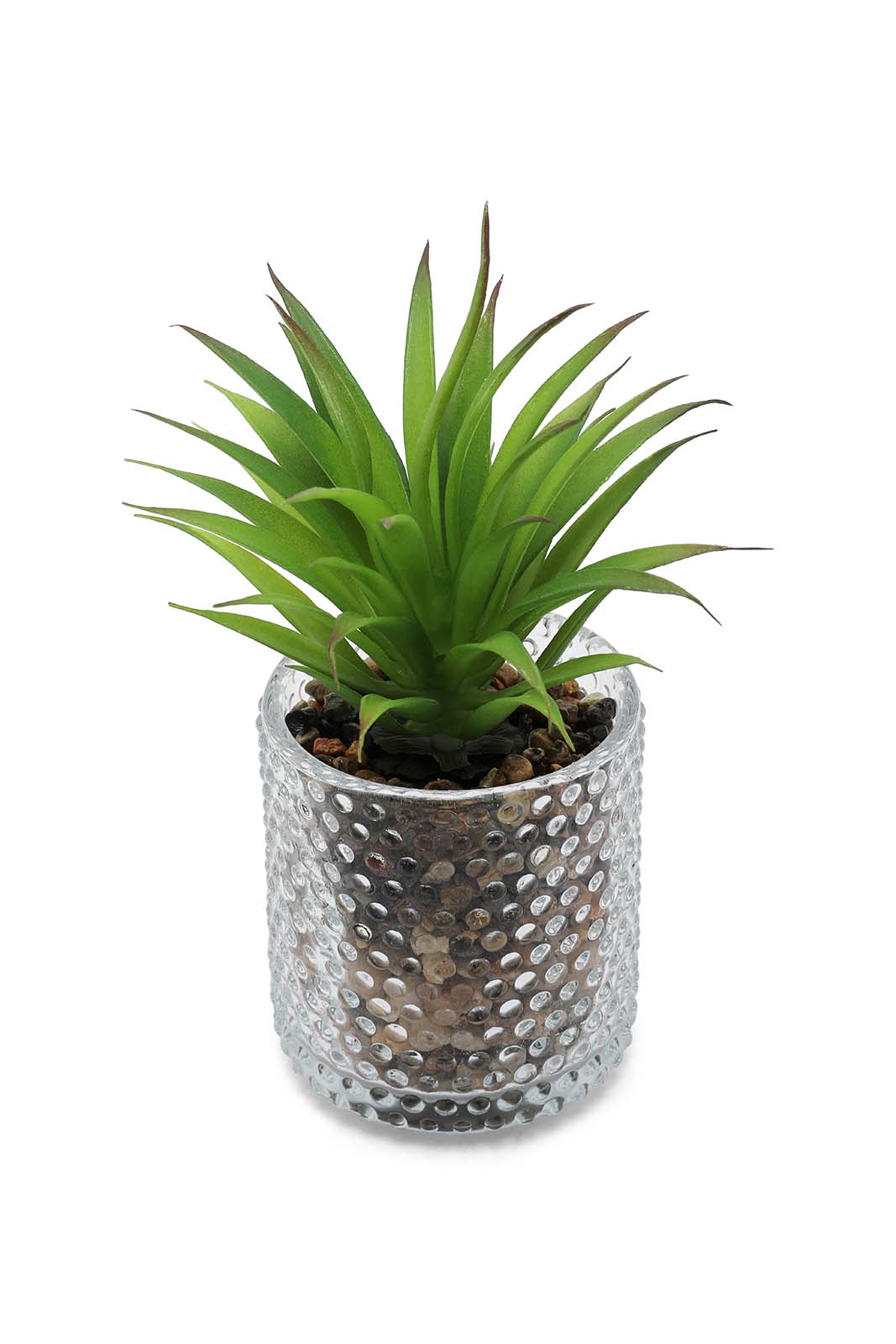 Redtag-Green-Artificial-Succulent-Cactus-Leaf-In-Ceramic-Pot-Category:Plants-&-Flowers,-Colour:Green,-Deals:New-In,-Dept:Home,-Filter:Home-Decor,-HMW-HOM-Decorative-Accessories,-New-In-HMW-HOM,-Non-Sale,-Section:Homewares,-W22B-Home-Decor-