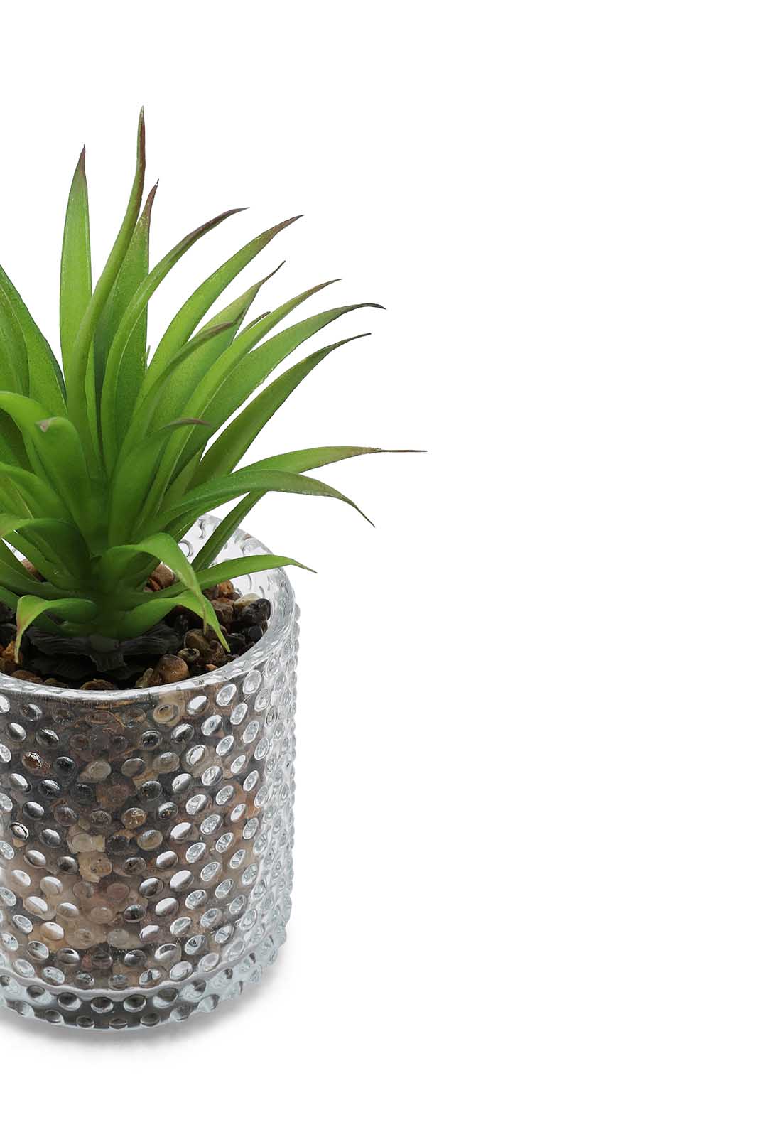 Redtag-Green-Artificial-Succulent-Cactus-Leaf-In-Ceramic-Pot-Category:Plants-&-Flowers,-Colour:Green,-Deals:New-In,-Dept:Home,-Filter:Home-Decor,-HMW-HOM-Decorative-Accessories,-New-In-HMW-HOM,-Non-Sale,-Section:Homewares,-W22B-Home-Decor-