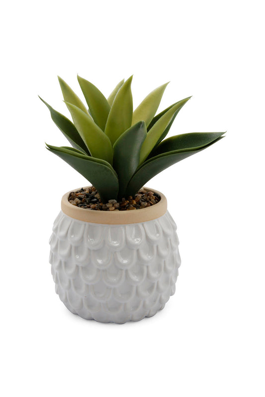 Redtag-Green-Artificial-Table-Plant-In-Embossed-Ceramic-Pot-Category:Plants-&-Flowers,-Colour:Green,-Deals:New-In,-Dept:Home,-Filter:Home-Decor,-HMW-HOM-Decorative-Accessories,-New-In-HMW-HOM,-Non-Sale,-Section:Homewares,-W22B-Home-Decor-