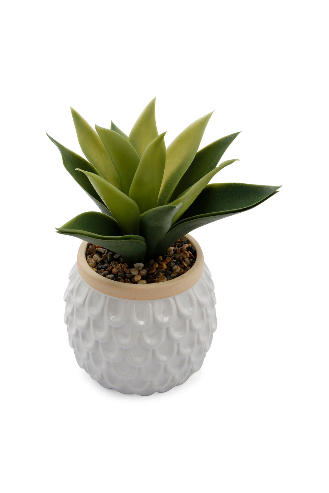 Redtag-Green-Artificial-Table-Plant-In-Embossed-Ceramic-Pot-Category:Plants-&-Flowers,-Colour:Green,-Deals:New-In,-Dept:Home,-Filter:Home-Decor,-HMW-HOM-Decorative-Accessories,-New-In-HMW-HOM,-Non-Sale,-Section:Homewares,-W22B-Home-Decor-