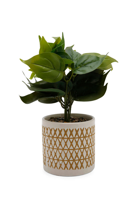 Redtag-Green-Artificial-Table-Plant-In-Pattern-Ceramic-Pot-Category:Plants-&-Flowers,-Colour:Green,-Deals:New-In,-Dept:Home,-Filter:Home-Decor,-HMW-HOM-Decorative-Accessories,-New-In-HMW-HOM,-Non-Sale,-Section:Homewares,-W22B-Home-Decor-