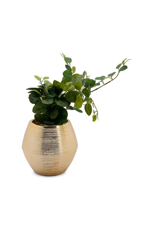 Redtag-Green-Artificial-Table-Plant-In-Gold-Ceramic-Pot-Category:Plants-&-Flowers,-Colour:Green,-Deals:New-In,-Dept:Home,-Filter:Home-Decor,-HMW-HOM-Decorative-Accessories,-New-In-HMW-HOM,-Non-Sale,-Section:Homewares,-W22B-Home-Decor-