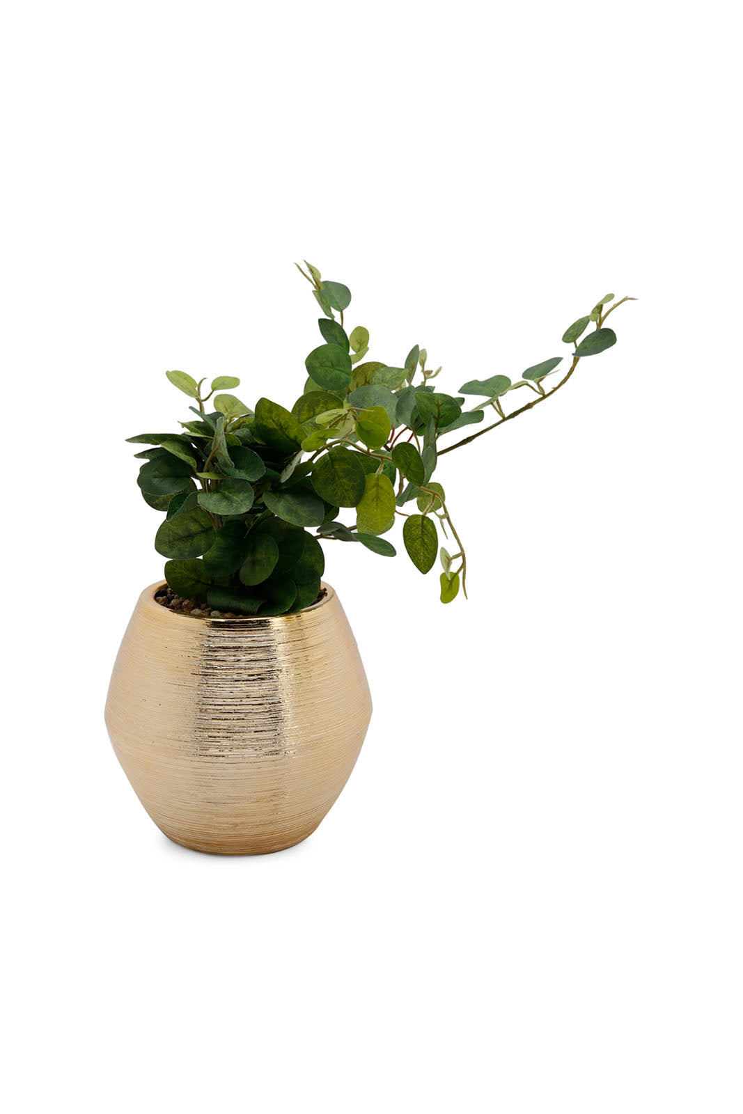Redtag-Green-Artificial-Table-Plant-In-Gold-Ceramic-Pot-Category:Plants-&-Flowers,-Colour:Green,-Deals:New-In,-Dept:Home,-Filter:Home-Decor,-HMW-HOM-Decorative-Accessories,-New-In-HMW-HOM,-Non-Sale,-Section:Homewares,-W22B-Home-Decor-
