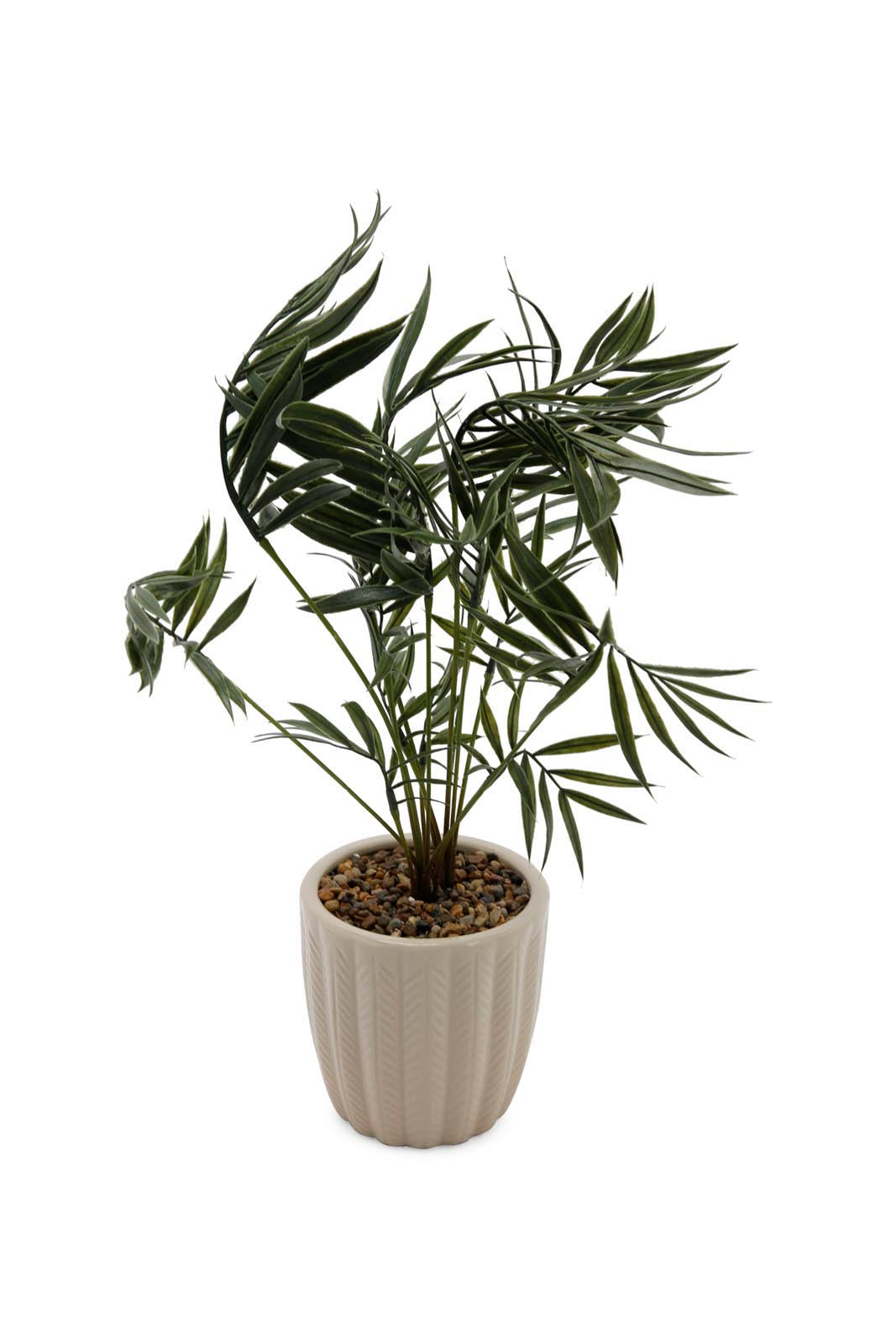 Redtag-Green-Artificial-Table-Plant-In-Embossed-Ceramic-Pot-Category:Plants-&-Flowers,-Colour:Green,-Deals:New-In,-Dept:Home,-Filter:Home-Decor,-HMW-HOM-Decorative-Accessories,-New-In-HMW-HOM,-Non-Sale,-Section:Homewares,-W22B-Home-Decor-