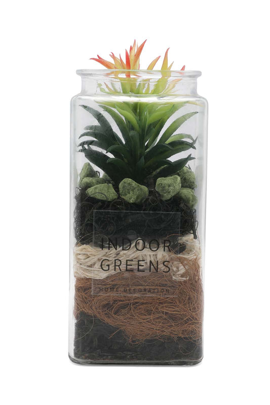 Redtag-Assorted-Artificial-Assorted-Cactus-In-Glass-Jar-Category:Plants-&-Flowers,-Colour:Assorted,-Deals:New-In,-Dept:Home,-Filter:Home-Decor,-HMW-HOM-Decorative-Accessories,-New-In-HMW-HOM,-Non-Sale,-Section:Homewares,-W22B-Home-Decor-