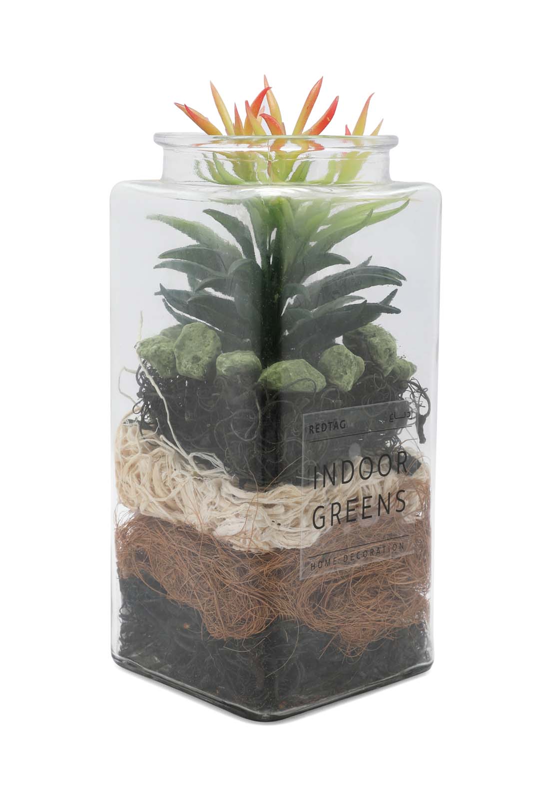 Redtag-Assorted-Artificial-Assorted-Cactus-In-Glass-Jar-Category:Plants-&-Flowers,-Colour:Assorted,-Deals:New-In,-Dept:Home,-Filter:Home-Decor,-HMW-HOM-Decorative-Accessories,-New-In-HMW-HOM,-Non-Sale,-Section:Homewares,-W22B-Home-Decor-
