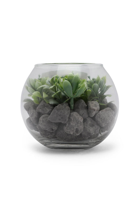 Redtag-Assorted-Artificial-Succulent-Round-Glass-Jar-Category:Plants-&-Flowers,-Colour:Assorted,-Deals:New-In,-Dept:Home,-Filter:Home-Decor,-HMW-HOM-Decorative-Accessories,-New-In-HMW-HOM,-Non-Sale,-Section:Homewares,-W22B-Home-Decor-