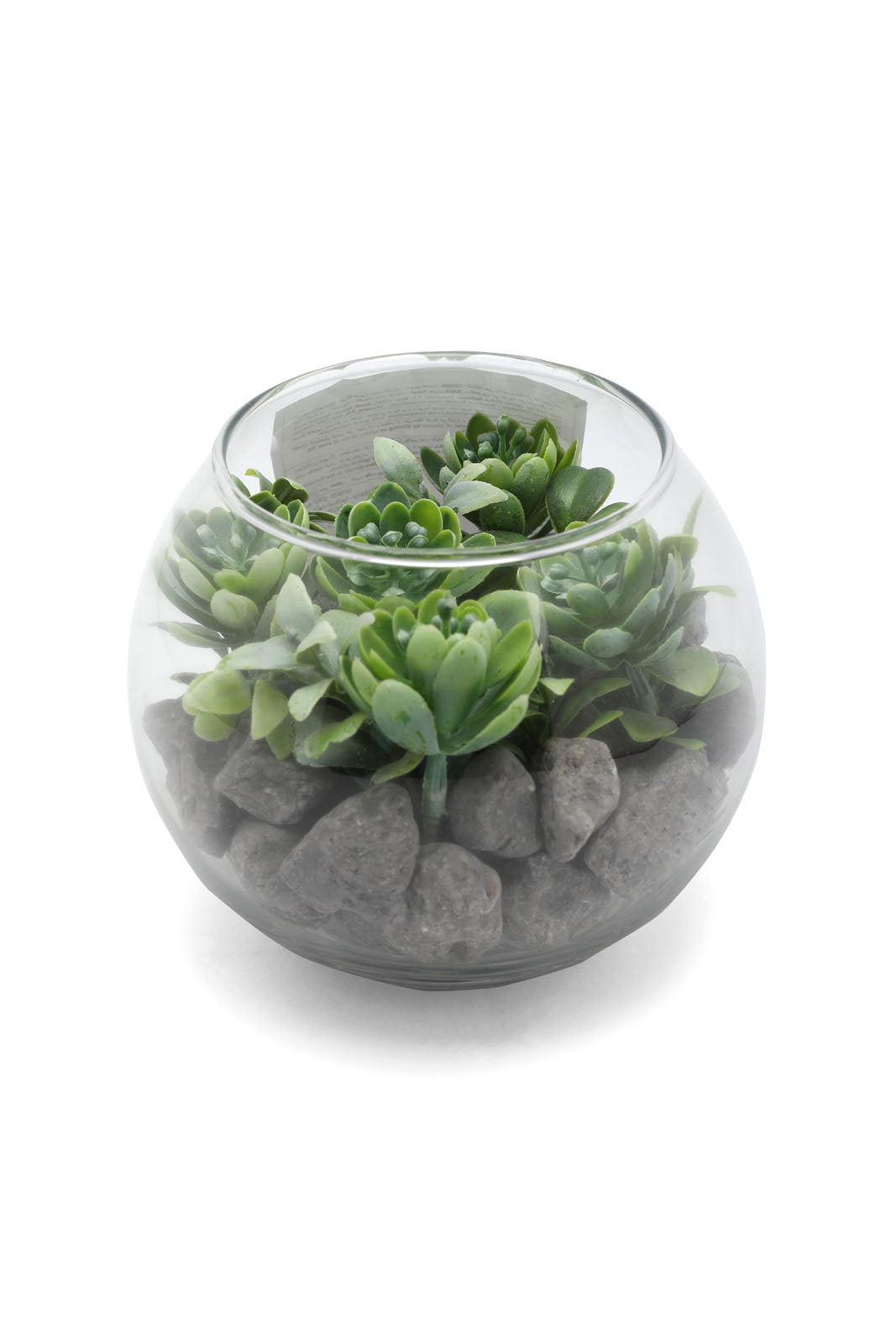 Redtag-Assorted-Artificial-Succulent-Round-Glass-Jar-Category:Plants-&-Flowers,-Colour:Assorted,-Deals:New-In,-Dept:Home,-Filter:Home-Decor,-HMW-HOM-Decorative-Accessories,-New-In-HMW-HOM,-Non-Sale,-Section:Homewares,-W22B-Home-Decor-
