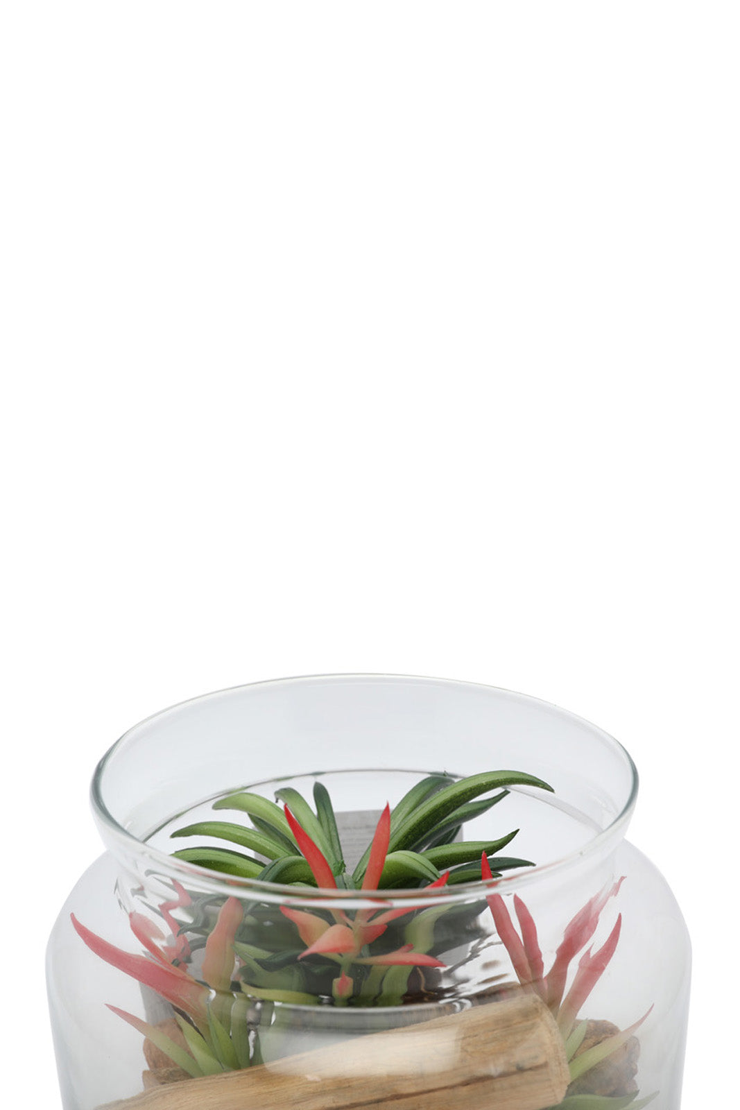 Redtag-Assorted-Artificial-Assorted-Cluster-Leaf-And-Stone-In-Glass-Jar-Category:Plants-&-Flowers,-Colour:Assorted,-Deals:New-In,-Dept:Home,-Filter:Home-Decor,-HMW-HOM-Decorative-Accessories,-New-In-HMW-HOM,-Non-Sale,-Section:Homewares,-W22B-Home-Decor-