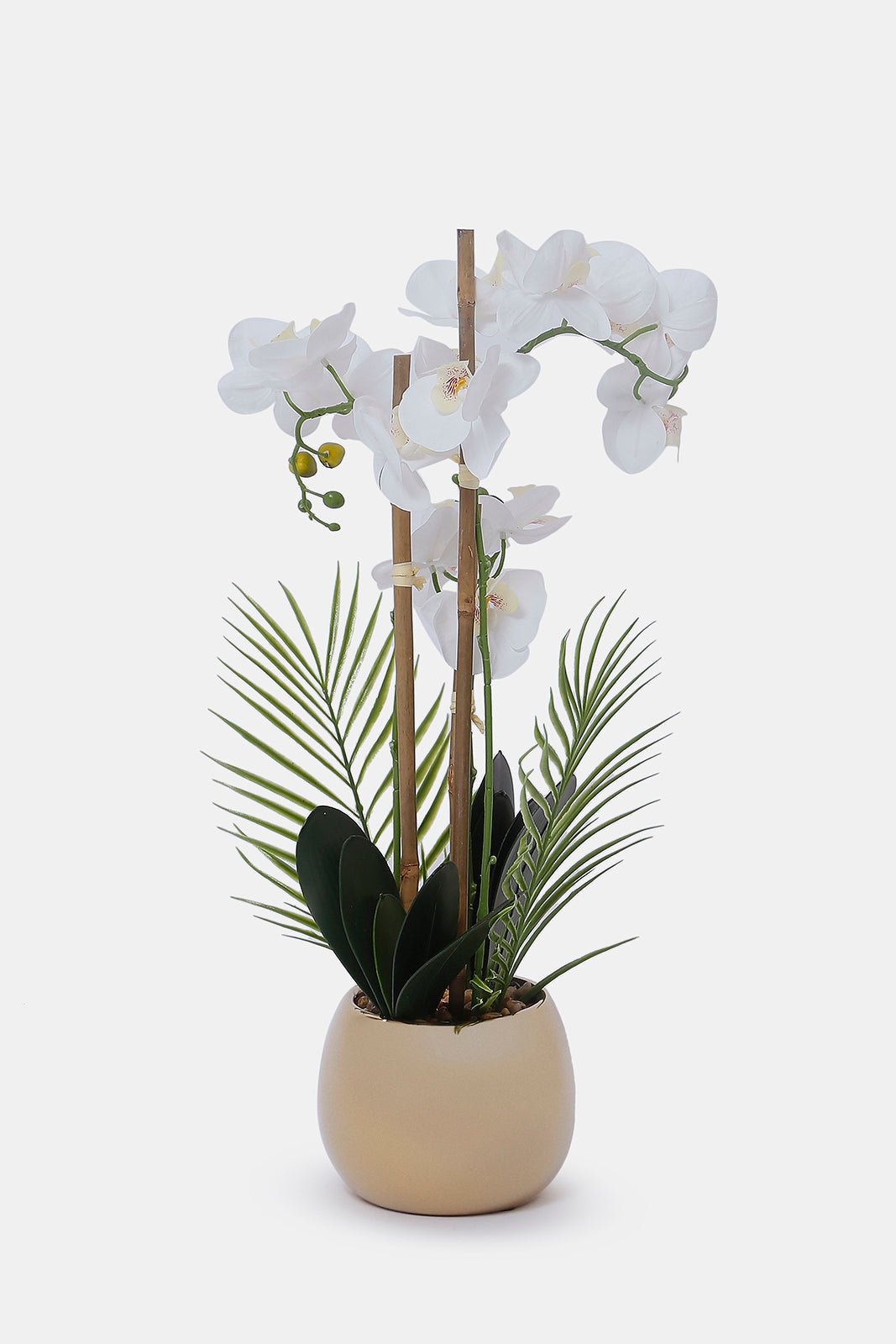 Redtag-Gold-Artificial-Orchid-Flower-In-Ceramic-Gold-Vase-Category:Plants-&-Flowers,-Colour:Gold,-Deals:New-In,-Dept:Home,-Filter:Home-Decor,-HMW-HOM-Decorative-Accessories,-New-In-HMW-HOM,-Non-Sale,-S23A,-Section:Homewares-Home-Decor-