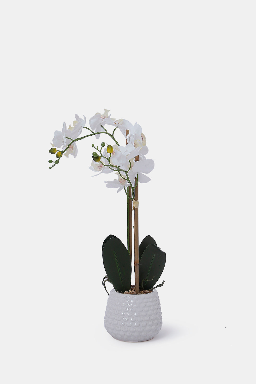 Redtag-White-Artificial-Orchid-Flower-In-White-Ceramic-Vase-Category:Plants-&-Flowers,-Colour:White,-Deals:New-In,-Dept:Home,-Filter:Home-Decor,-HMW-HOM-Decorative-Accessories,-New-In-HMW-HOM,-Non-Sale,-S23A,-Section:Homewares-Home-Decor-