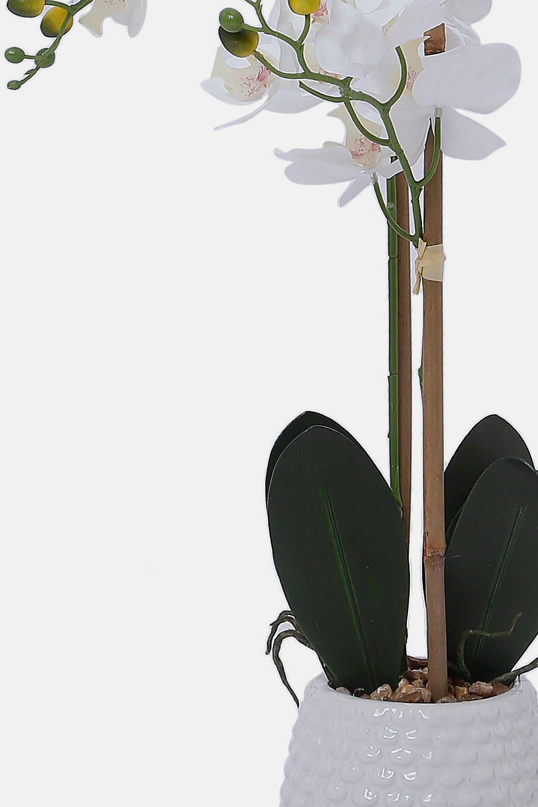 Redtag-White-Artificial-Orchid-Flower-In-White-Ceramic-Vase-Category:Plants-&-Flowers,-Colour:White,-Deals:New-In,-Dept:Home,-Filter:Home-Decor,-HMW-HOM-Decorative-Accessories,-New-In-HMW-HOM,-Non-Sale,-S23A,-Section:Homewares-Home-Decor-