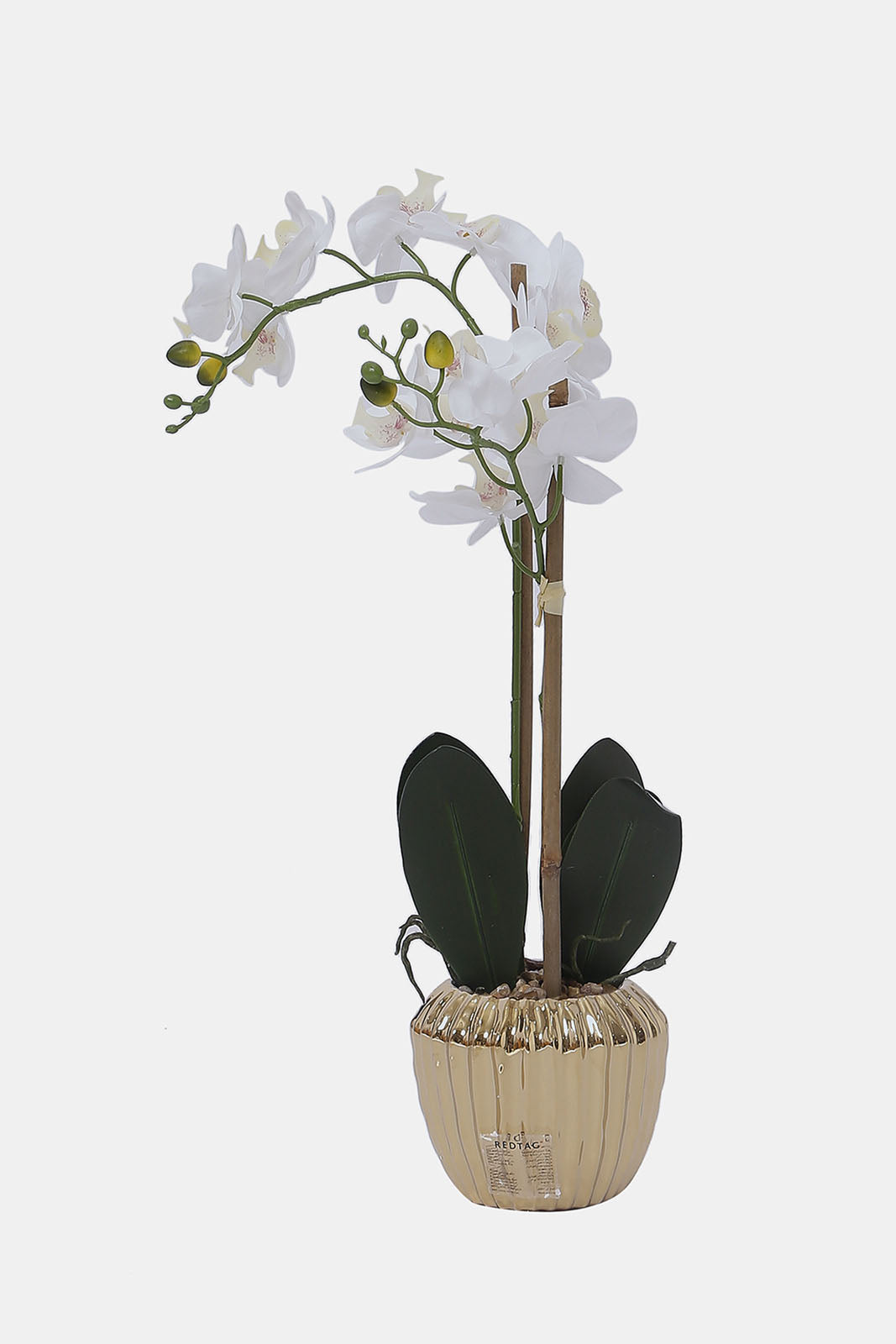 Redtag-Gold-Artificial-Orchid-Flower-In-Gold-Ceramic-Vase-Category:Plants-&-Flowers,-Colour:Gold,-Deals:New-In,-Dept:Home,-Filter:Home-Decor,-HMW-HOM-Decorative-Accessories,-New-In-HMW-HOM,-Non-Sale,-S23A,-Section:Homewares-Home-Decor-