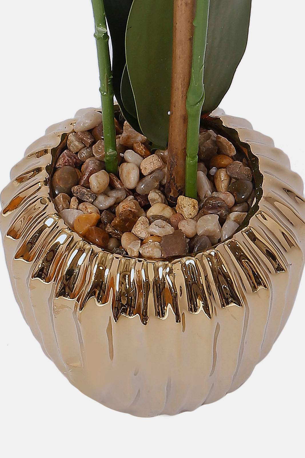 Redtag-Gold-Artificial-Orchid-Flower-In-Gold-Ceramic-Vase-Category:Plants-&-Flowers,-Colour:Gold,-Deals:New-In,-Dept:Home,-Filter:Home-Decor,-HMW-HOM-Decorative-Accessories,-New-In-HMW-HOM,-Non-Sale,-S23A,-Section:Homewares-Home-Decor-