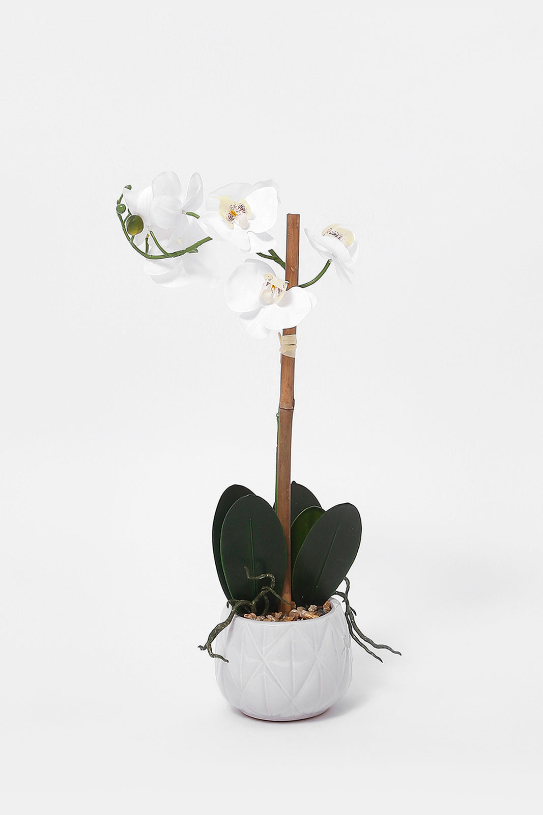 Redtag-White-Artificial-Orchid-Flower-In-White-Pattern-Ceramic-Vase-Category:Plants-&-Flowers,-Colour:White,-Deals:New-In,-Dept:Home,-Filter:Home-Decor,-HMW-HOM-Decorative-Accessories,-New-In-HMW-HOM,-Non-Sale,-S23A,-Section:Homewares-Home-Decor-