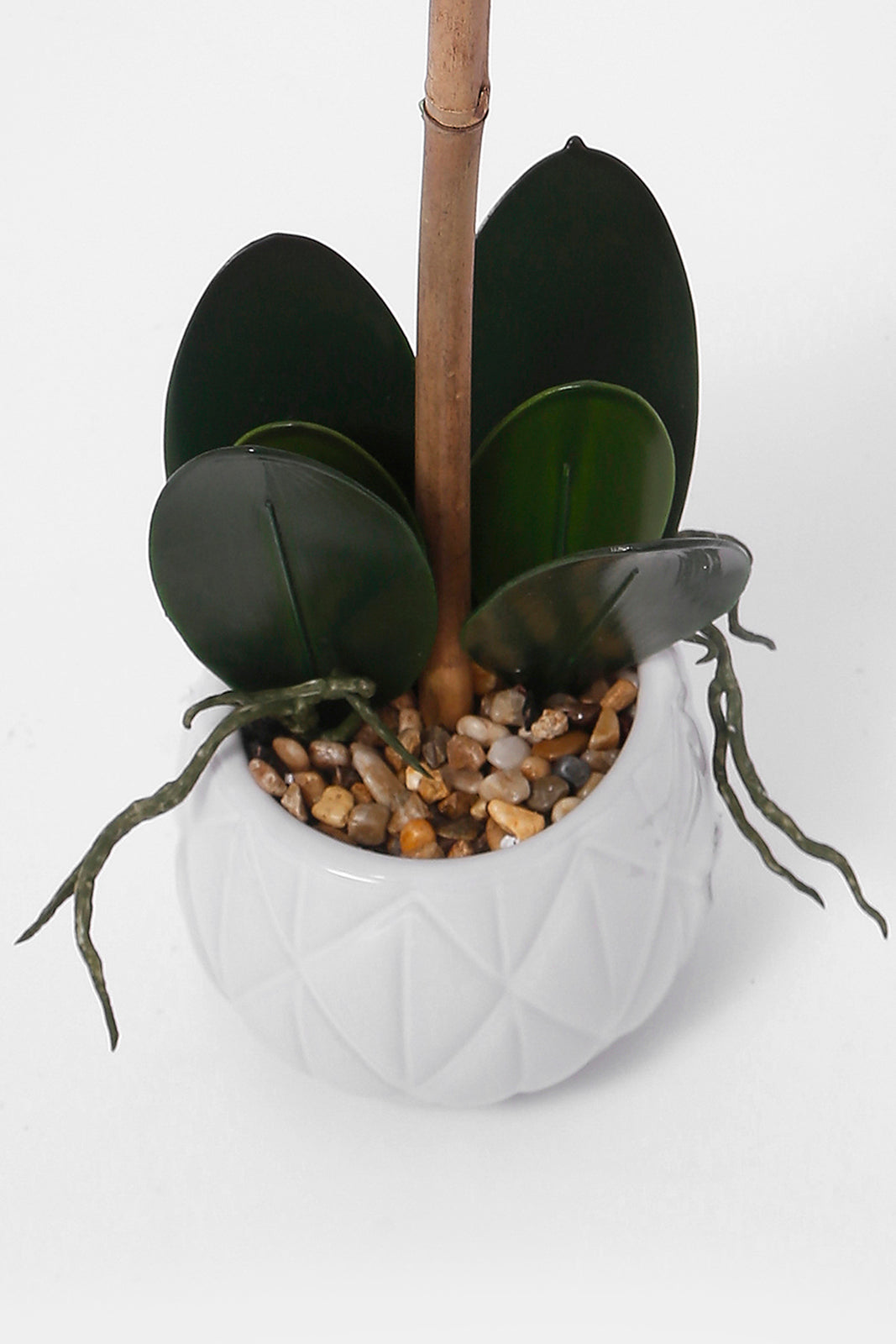Redtag-White-Artificial-Orchid-Flower-In-White-Pattern-Ceramic-Vase-Category:Plants-&-Flowers,-Colour:White,-Deals:New-In,-Dept:Home,-Filter:Home-Decor,-HMW-HOM-Decorative-Accessories,-New-In-HMW-HOM,-Non-Sale,-S23A,-Section:Homewares-Home-Decor-