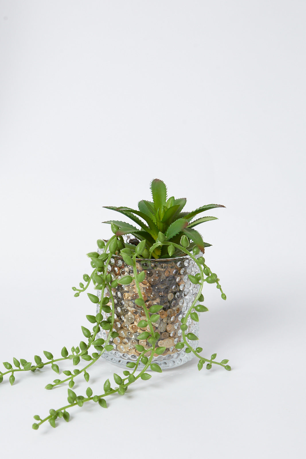 Redtag-Green-Artificial-Succulent-Flat-Leaf-In-Ceramic-Pot-Category:Plants-&-Flowers,-Colour:Green,-Deals:New-In,-Filter:Home-Decor,-HMW-HOM-Decorative-Accessories,-New-In-HMW-HOM,-Non-Sale,-S23A,-Section:Homewares-Home-Decor-