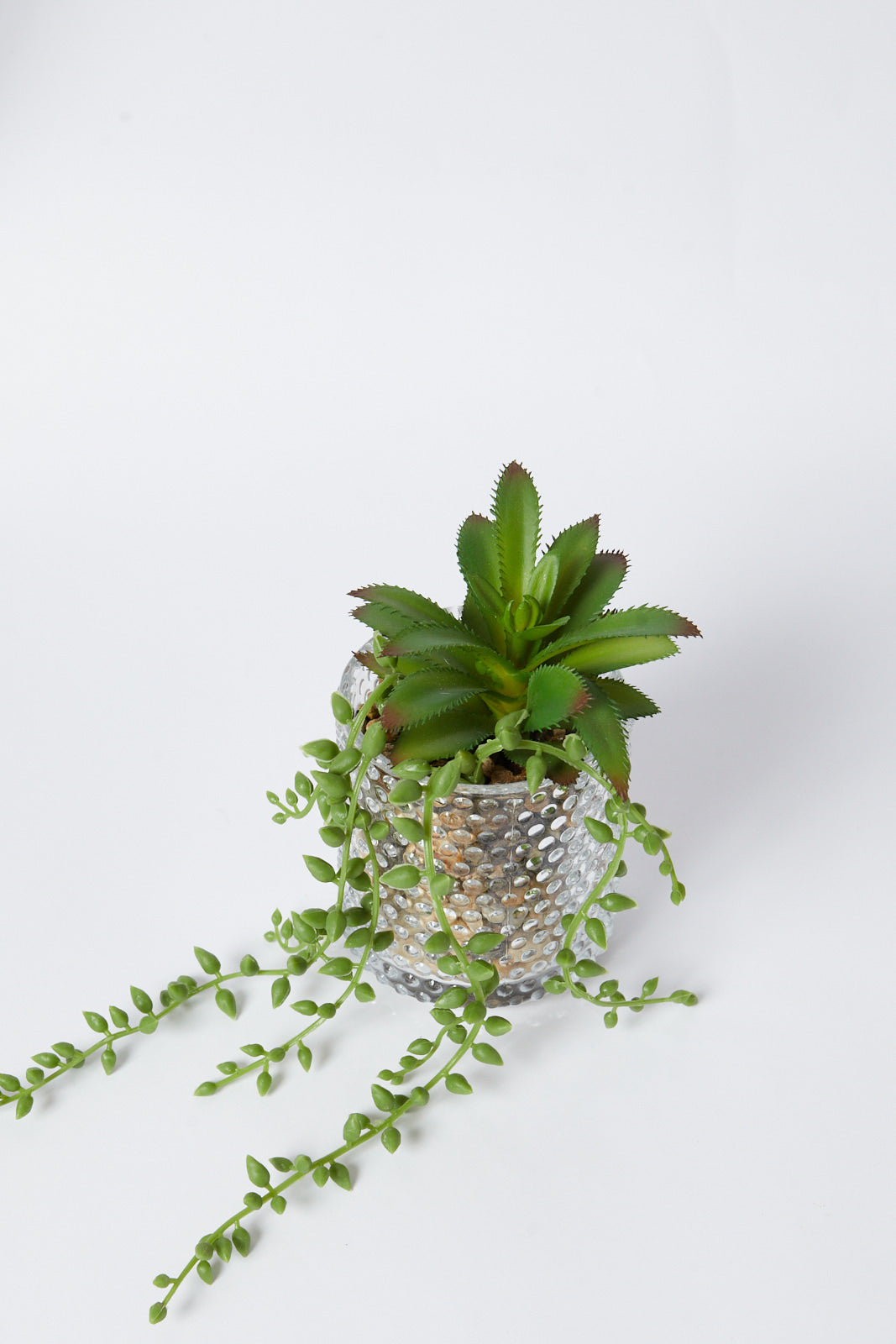 Redtag-Green-Artificial-Succulent-Flat-Leaf-In-Ceramic-Pot-Category:Plants-&-Flowers,-Colour:Green,-Deals:New-In,-Filter:Home-Decor,-HMW-HOM-Decorative-Accessories,-New-In-HMW-HOM,-Non-Sale,-S23A,-Section:Homewares-Home-Decor-