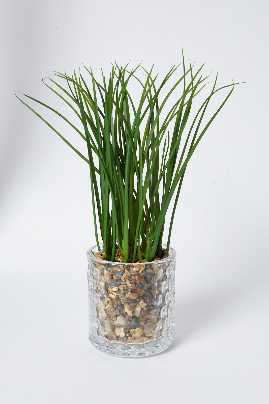 Redtag-Green-Artificial-Succulent-Grass-In-Ceramic-Pot-Category:Plants-&-Flowers,-Colour:Green,-Deals:New-In,-Filter:Home-Decor,-HMW-HOM-Decorative-Accessories,-New-In-HMW-HOM,-Non-Sale,-S23A,-Section:Homewares-Home-Decor-