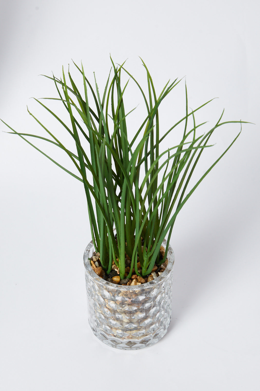 Redtag-Green-Artificial-Succulent-Grass-In-Ceramic-Pot-Category:Plants-&-Flowers,-Colour:Green,-Deals:New-In,-Filter:Home-Decor,-HMW-HOM-Decorative-Accessories,-New-In-HMW-HOM,-Non-Sale,-S23A,-Section:Homewares-Home-Decor-