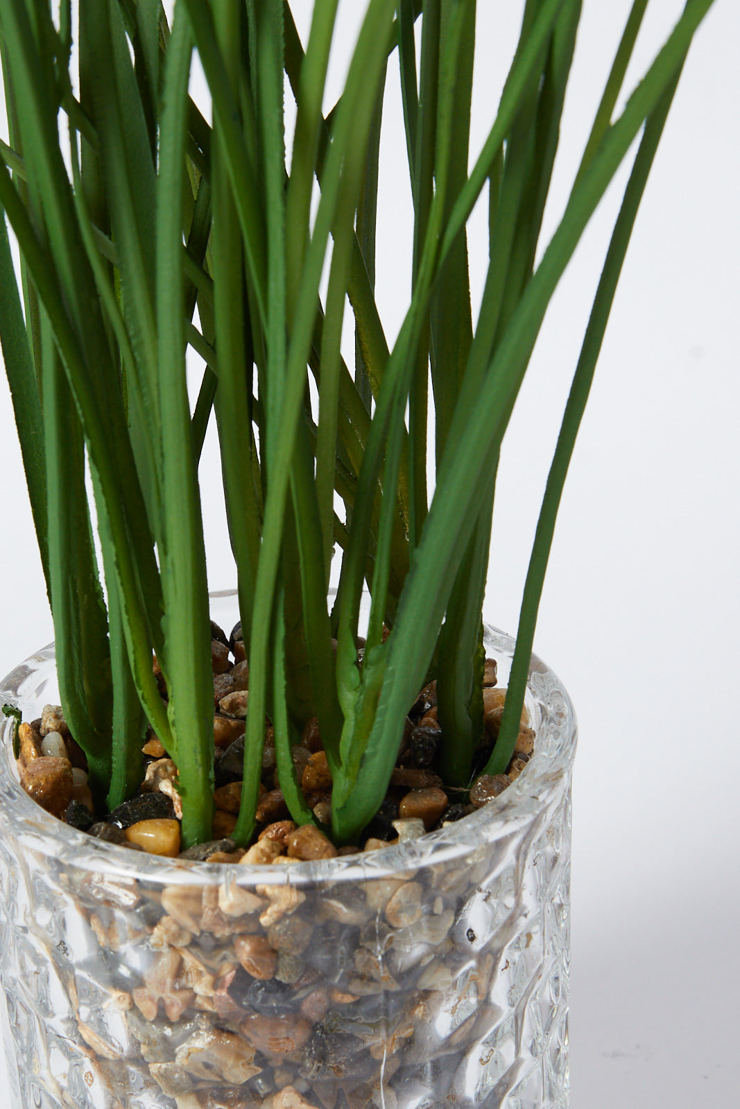 Redtag-Green-Artificial-Succulent-Grass-In-Ceramic-Pot-Category:Plants-&-Flowers,-Colour:Green,-Deals:New-In,-Filter:Home-Decor,-HMW-HOM-Decorative-Accessories,-New-In-HMW-HOM,-Non-Sale,-S23A,-Section:Homewares-Home-Decor-