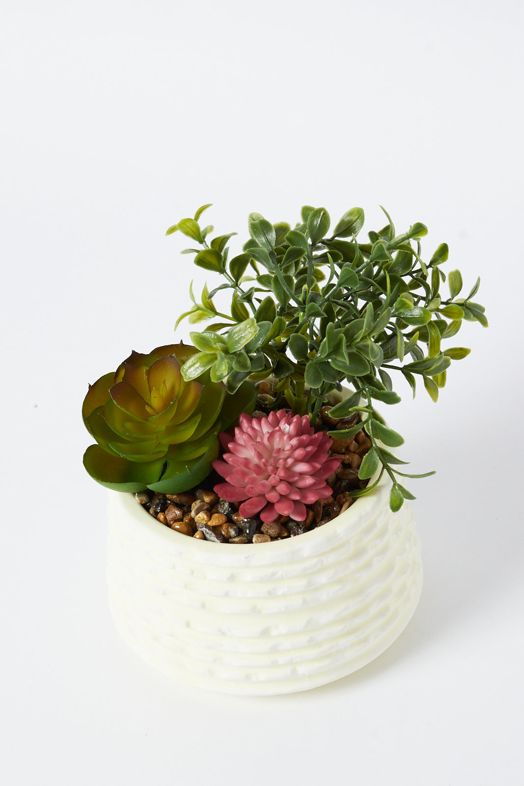 Redtag-Green-Artificial-Succulent-Assorted-Cactus-In-Ceramic-Pot-Category:Plants-&-Flowers,-Colour:Green,-Deals:New-In,-Dept:Home,-Filter:Home-Decor,-HMW-HOM-Decorative-Accessories,-New-In-HMW-HOM,-Non-Sale,-S23A,-Section:Homewares-Home-Decor-
