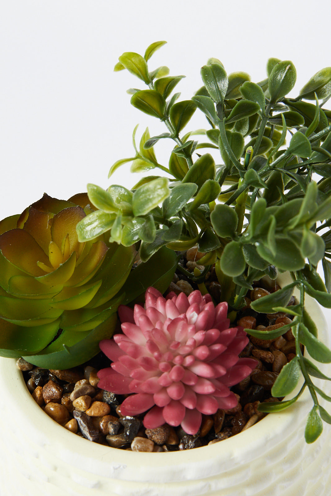 Redtag-Green-Artificial-Succulent-Assorted-Cactus-In-Ceramic-Pot-Category:Plants-&-Flowers,-Colour:Green,-Deals:New-In,-Dept:Home,-Filter:Home-Decor,-HMW-HOM-Decorative-Accessories,-New-In-HMW-HOM,-Non-Sale,-S23A,-Section:Homewares-Home-Decor-