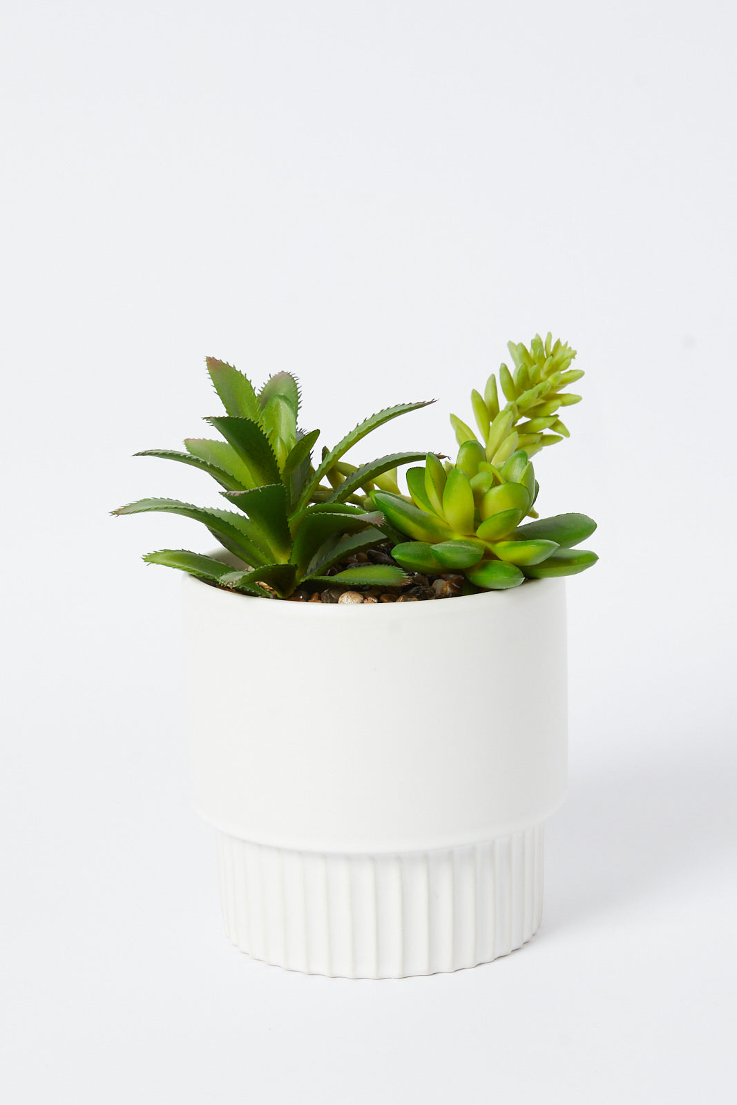 Redtag-Green-Artificial-Succulent-Assorted-Custer-In-Ceramic-Pot-Category:Plants-&-Flowers,-Colour:Green,-Deals:New-In,-Filter:Home-Decor,-HMW-HOM-Decorative-Accessories,-New-In-HMW-HOM,-Non-Sale,-S23A,-Section:Homewares-Home-Decor-