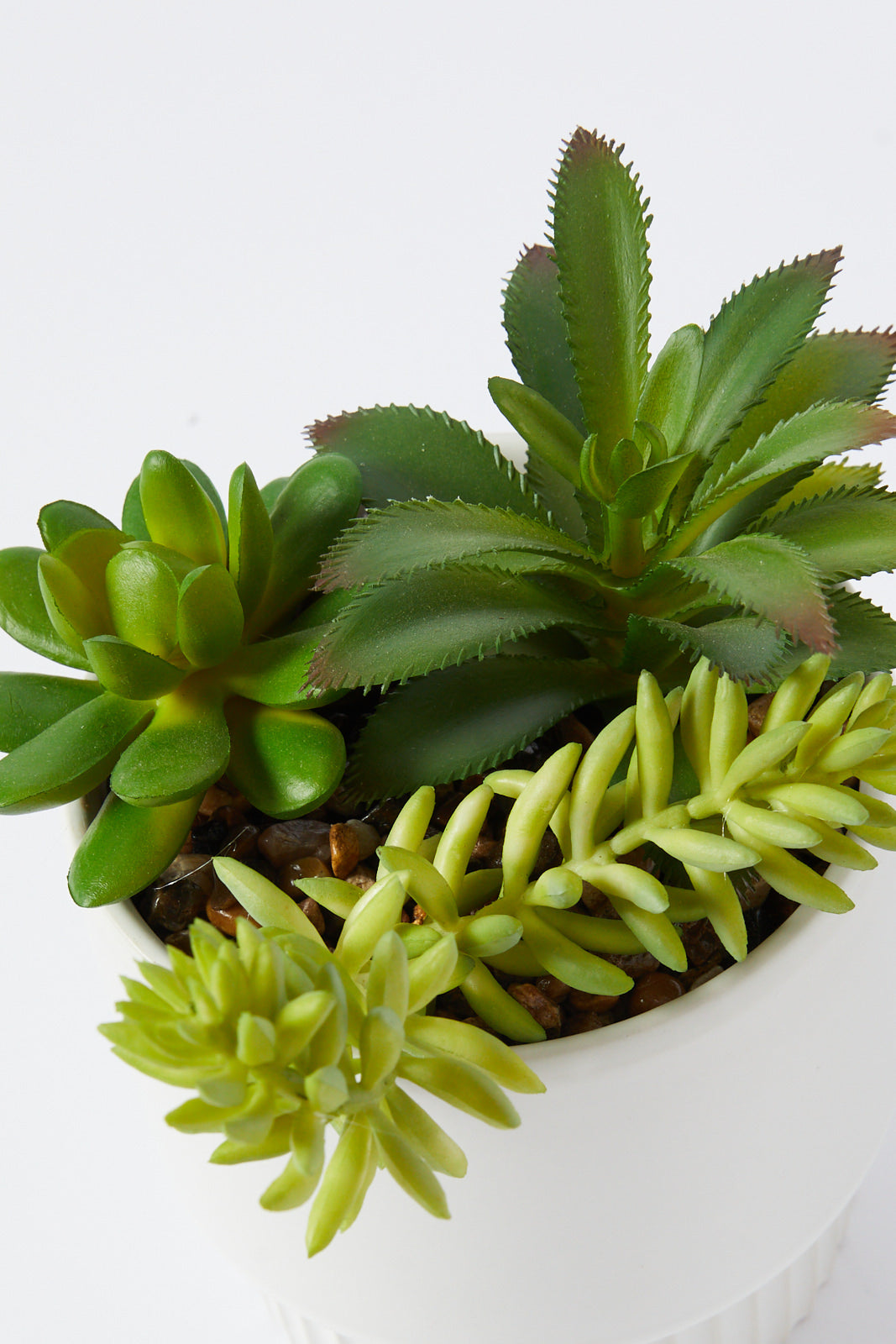 Redtag-Green-Artificial-Succulent-Assorted-Custer-In-Ceramic-Pot-Category:Plants-&-Flowers,-Colour:Green,-Deals:New-In,-Filter:Home-Decor,-HMW-HOM-Decorative-Accessories,-New-In-HMW-HOM,-Non-Sale,-S23A,-Section:Homewares-Home-Decor-