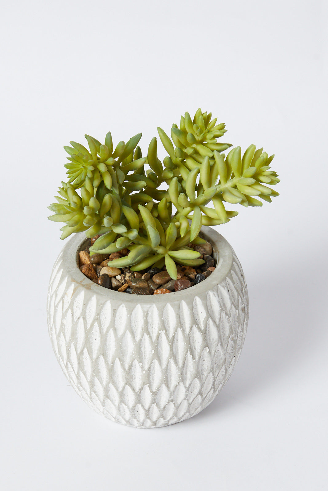 Redtag-Green-Artificial-Succulent-Assorted-Custer-In-Ceramic-Pot-Category:Plants-&-Flowers,-Colour:Green,-Deals:New-In,-Filter:Home-Decor,-HMW-HOM-Decorative-Accessories,-New-In-HMW-HOM,-Non-Sale,-S23A,-Section:Homewares-Home-Decor-