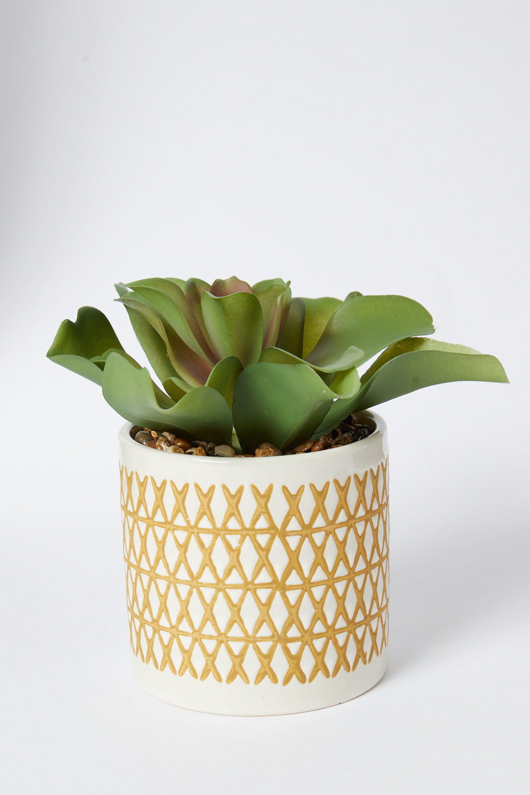 Redtag-Green-Artificial-Succulent-Flat-Leaf-In-Ceramic-Pot-Category:Plants-&-Flowers,-Colour:Green,-Deals:New-In,-Filter:Home-Decor,-HMW-HOM-Decorative-Accessories,-New-In-HMW-HOM,-Non-Sale,-S23A,-Section:Homewares-Home-Decor-