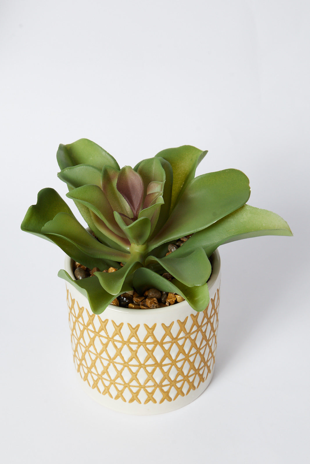 Redtag-Green-Artificial-Succulent-Flat-Leaf-In-Ceramic-Pot-Category:Plants-&-Flowers,-Colour:Green,-Deals:New-In,-Filter:Home-Decor,-HMW-HOM-Decorative-Accessories,-New-In-HMW-HOM,-Non-Sale,-S23A,-Section:Homewares-Home-Decor-