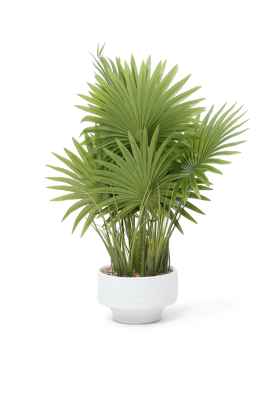 Redtag-Green-Artificial-Plant-With-Ceramic-White-Pot-80Cm-Category:Plants-&-Flowers,-Colour:Green,-Deals:New-In,-Dept:Home,-Filter:Home-Decor,-HMW-HOM-Decorative-Accessories,-New-In-HMW-HOM,-Non-Sale,-S23A,-Section:Homewares-Home-Decor-