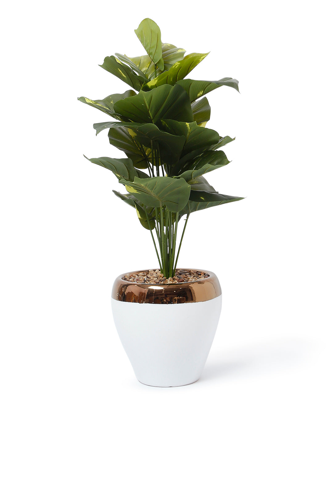 Redtag-Green-Artificial-Plant-With-Ceramic-130Cm-Category:Plants-&-Flowers,-Colour:Green,-Deals:New-In,-Dept:Home,-Filter:Home-Decor,-HMW-HOM-Decorative-Accessories,-New-In-HMW-HOM,-Non-Sale,-S23A,-Section:Homewares-Home-Decor-