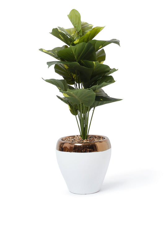 Redtag-Green-Artificial-Plant-With-Ceramic-130Cm-Category:Plants-&-Flowers,-Colour:Green,-Deals:New-In,-Dept:Home,-Filter:Home-Decor,-HMW-HOM-Decorative-Accessories,-New-In-HMW-HOM,-Non-Sale,-S23A,-Section:Homewares-Home-Decor-
