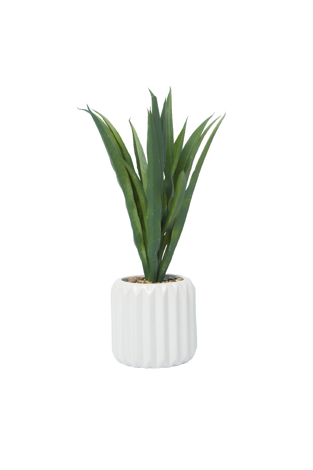 Redtag-Green-Artificial-Table-Plant-In-Embossed-Ceramic-Pot-Category:Plants-&-Flowers,-Colour:Green,-Deals:New-In,-Dept:Home,-Filter:Home-Decor,-HMW-HOM-Decorative-Accessories,-New-In-HMW-HOM,-Non-Sale,-S23A,-Section:Homewares-Home-Decor-