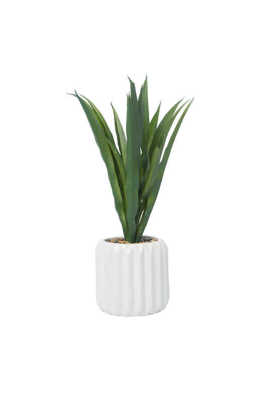 Redtag-Green-Artificial-Table-Plant-In-Embossed-Ceramic-Pot-Category:Plants-&-Flowers,-Colour:Green,-Deals:New-In,-Dept:Home,-Filter:Home-Decor,-HMW-HOM-Decorative-Accessories,-New-In-HMW-HOM,-Non-Sale,-S23A,-Section:Homewares-Home-Decor-