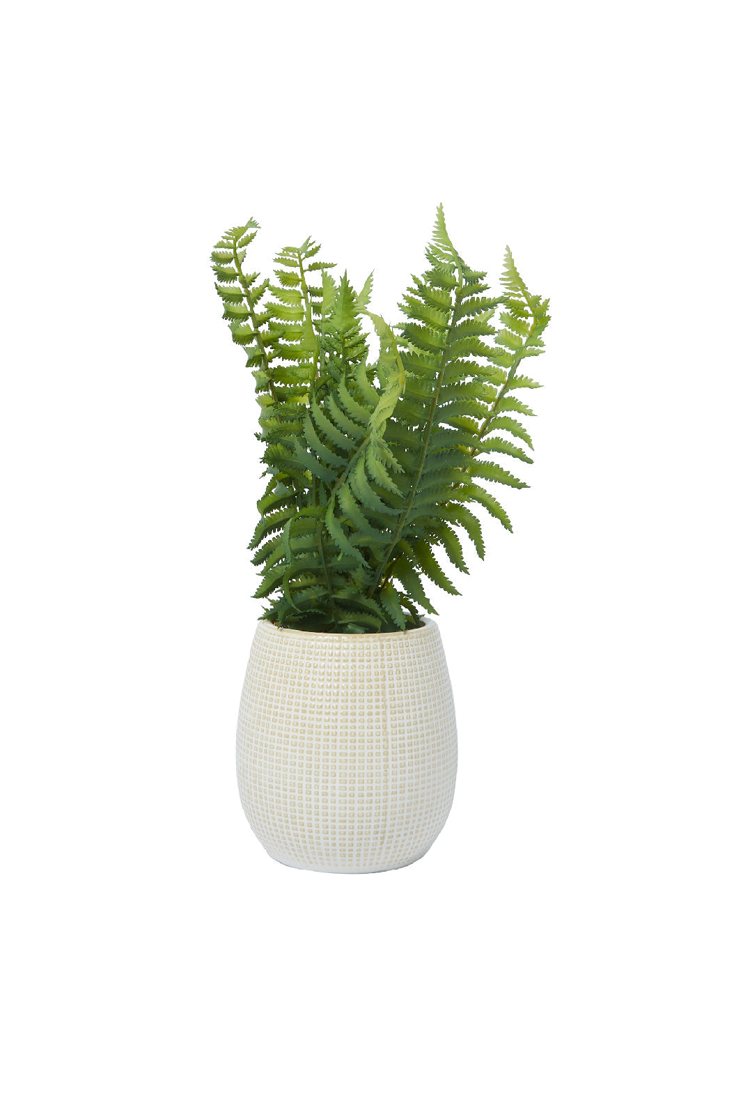 Redtag-Green-Artificial-Table-Plant-In-Ceramic-Pot-Category:Plants-&-Flowers,-Colour:Green,-Deals:New-In,-Dept:Home,-Filter:Home-Decor,-HMW-HOM-Decorative-Accessories,-New-In-HMW-HOM,-Non-Sale,-S23A,-Section:Homewares-Home-Decor-