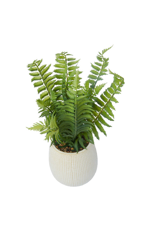 Redtag-Green-Artificial-Table-Plant-In-Ceramic-Pot-Category:Plants-&-Flowers,-Colour:Green,-Deals:New-In,-Dept:Home,-Filter:Home-Decor,-HMW-HOM-Decorative-Accessories,-New-In-HMW-HOM,-Non-Sale,-S23A,-Section:Homewares-Home-Decor-