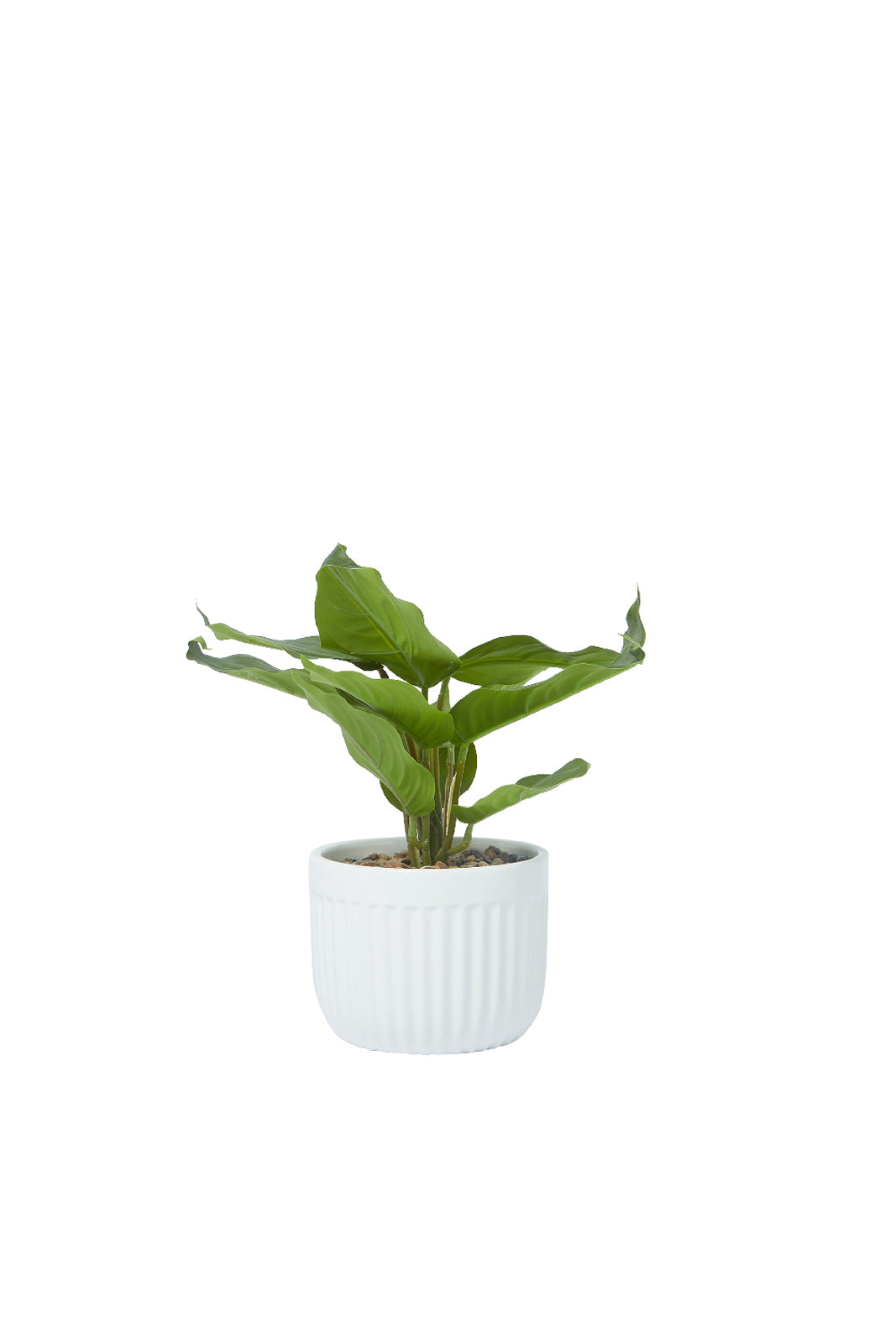 Redtag-Green-Artificial-Table-Plant-In-Ceramic-Embossed-Jar-Category:Plants-&-Flowers,-Colour:Green,-Deals:New-In,-Dept:Home,-Filter:Home-Decor,-HMW-HOM-Decorative-Accessories,-New-In-HMW-HOM,-Non-Sale,-S23A,-Section:Homewares-Home-Decor-