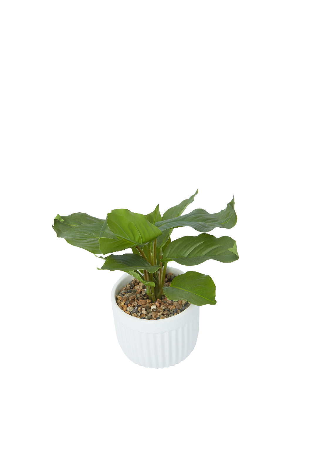 Redtag-Green-Artificial-Table-Plant-In-Ceramic-Embossed-Jar-Category:Plants-&-Flowers,-Colour:Green,-Deals:New-In,-Dept:Home,-Filter:Home-Decor,-HMW-HOM-Decorative-Accessories,-New-In-HMW-HOM,-Non-Sale,-S23A,-Section:Homewares-Home-Decor-