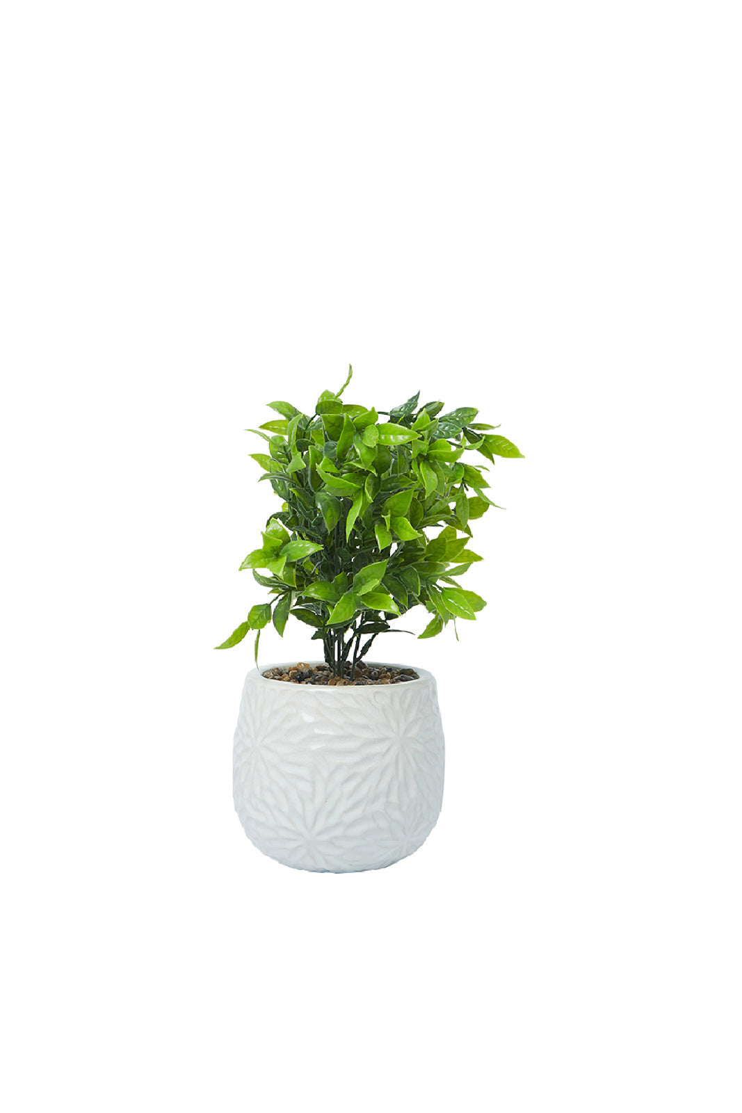 Redtag-Green-Artificial-Table-Plant-Cluster-In-Ceramic-Pot-Category:Plants-&-Flowers,-Colour:Green,-Deals:New-In,-Dept:Home,-Filter:Home-Decor,-HMW-HOM-Decorative-Accessories,-New-In-HMW-HOM,-Non-Sale,-S23A,-Section:Homewares-Home-Decor-