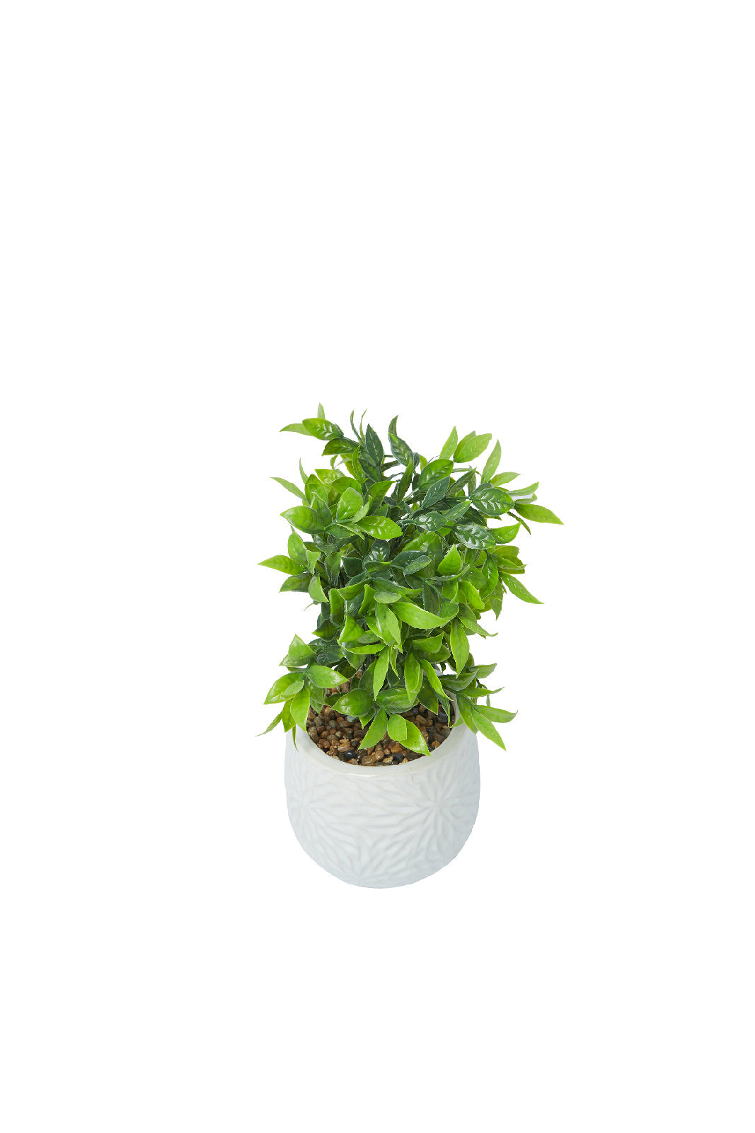 Redtag-Green-Artificial-Table-Plant-Cluster-In-Ceramic-Pot-Category:Plants-&-Flowers,-Colour:Green,-Deals:New-In,-Dept:Home,-Filter:Home-Decor,-HMW-HOM-Decorative-Accessories,-New-In-HMW-HOM,-Non-Sale,-S23A,-Section:Homewares-Home-Decor-