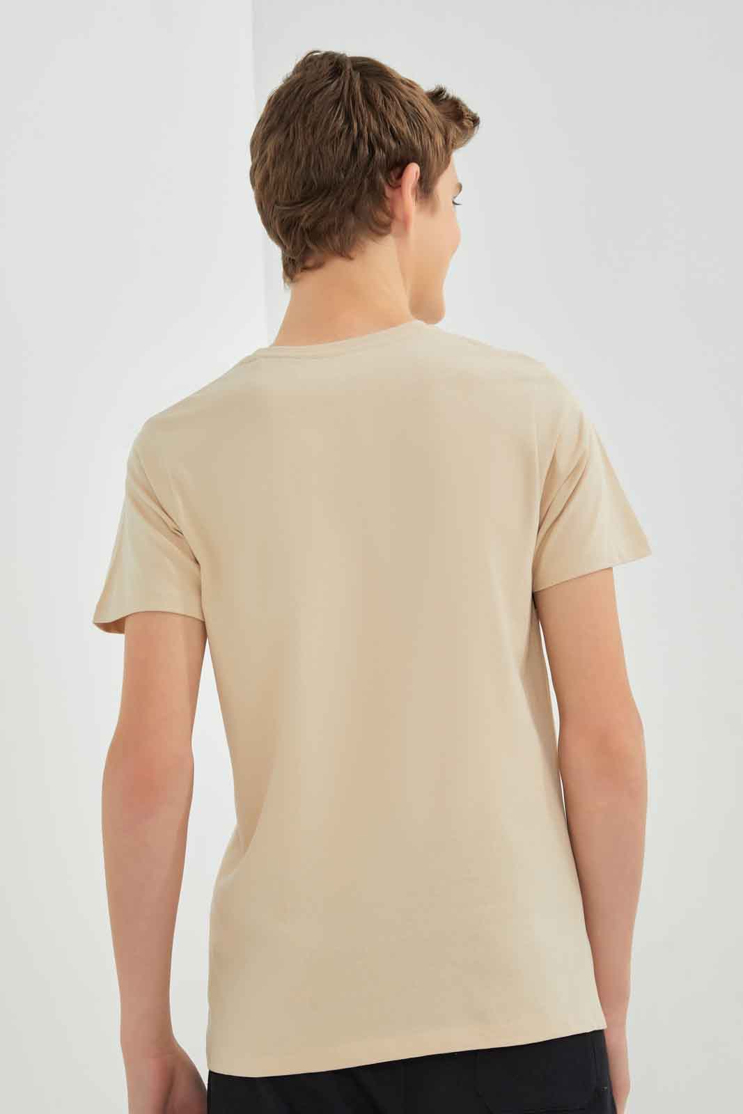 Redtag-Boys-Beige-La-Flock-Print-Tee-BSR-T-Shirts,-Category:T-Shirts,-Colour:Beige,-Deals:New-In,-Dept:Boys,-Filter:Senior-Boys-(8-to-14-Yrs),-New-In-BSR-APL,-Non-Sale,-Section:Boys-(0-to-14Yrs),-W22B-Senior-Boys-9 to 14 Years