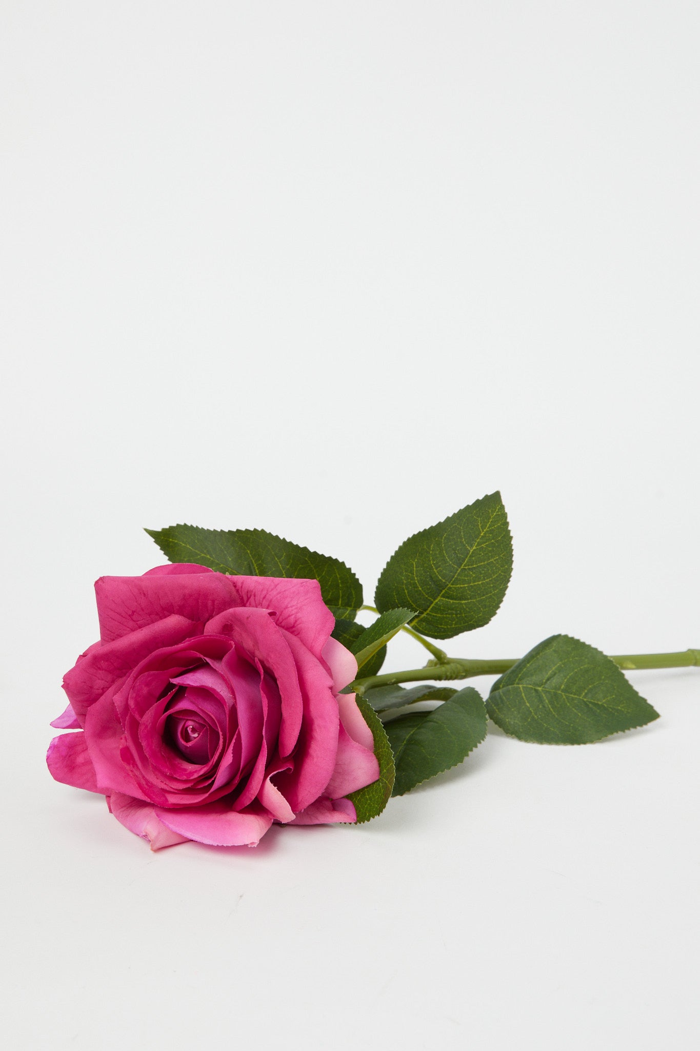 Redtag-Pink-Artificial-Single-Rose-Stick-Category:Plants-&-Flowers,-Colour:Pink,-Deals:New-In,-Dept:Home,-Filter:Home-Decor,-H1:HMW,-H2:HOM,-H3:DEA,-H4:DCA,-HMW-HOM-Decorative-Accessories,-New-In-HMW-HOM,-Non-Sale,-Promo:PERIGOLD,-S23A,-Season:S23B,-Section:Homewares,-Style:FLOWER-STICK-Home-Decor-