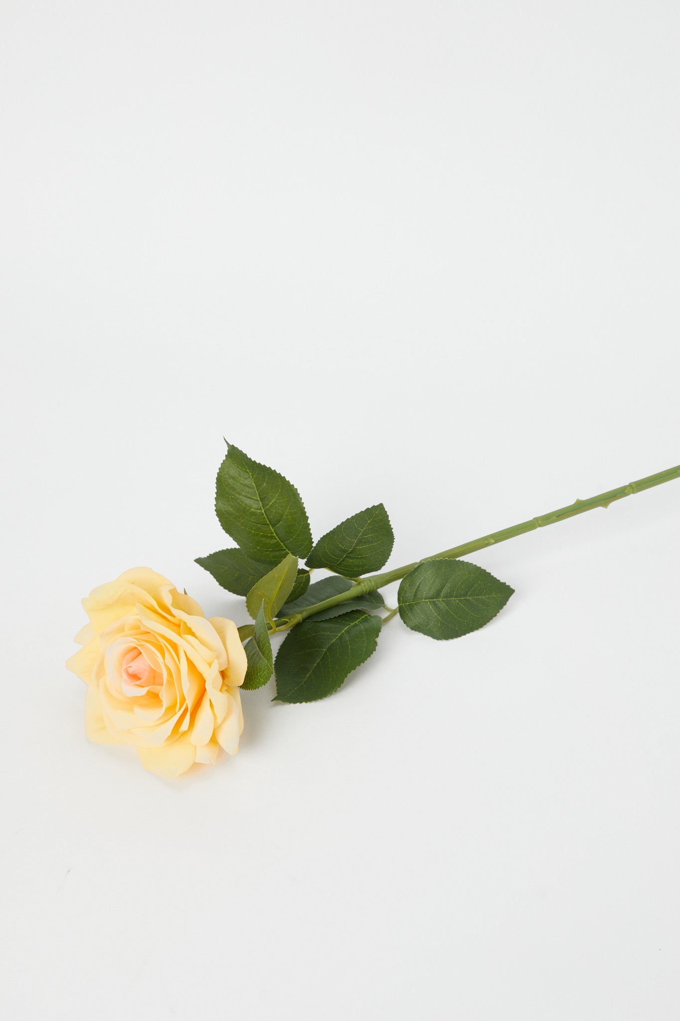 Redtag-Yellow-Artificial-Single-Rose-Stick-Category:Plants-&-Flowers,-Colour:Yellow,-Deals:New-In,-Dept:Home,-Filter:Home-Decor,-H1:HMW,-H2:HOM,-H3:DEA,-H4:DCA,-HMW-HOM-Decorative-Accessories,-New-In-HMW-HOM,-Non-Sale,-Promo:PERIGOLD,-S23A,-Season:S23B,-Section:Homewares,-Style:FLOWER-STICK-Home-Decor-